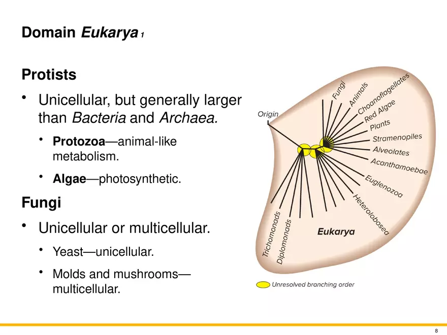 The Evolution of Microorganisms and Microbiology - Page 38