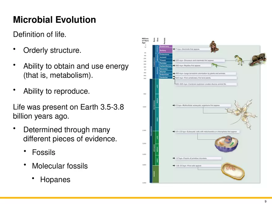 The Evolution of Microorganisms and Microbiology - Page 39