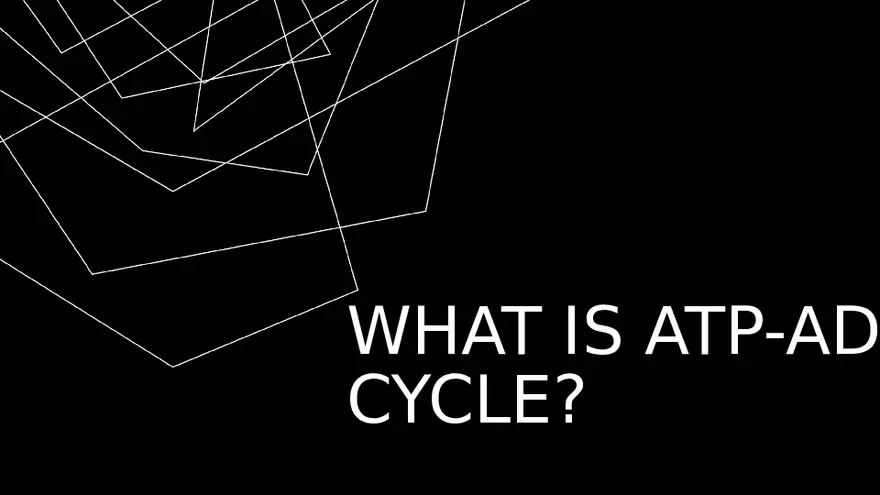 What is ATP-AD Cycle - Page 1