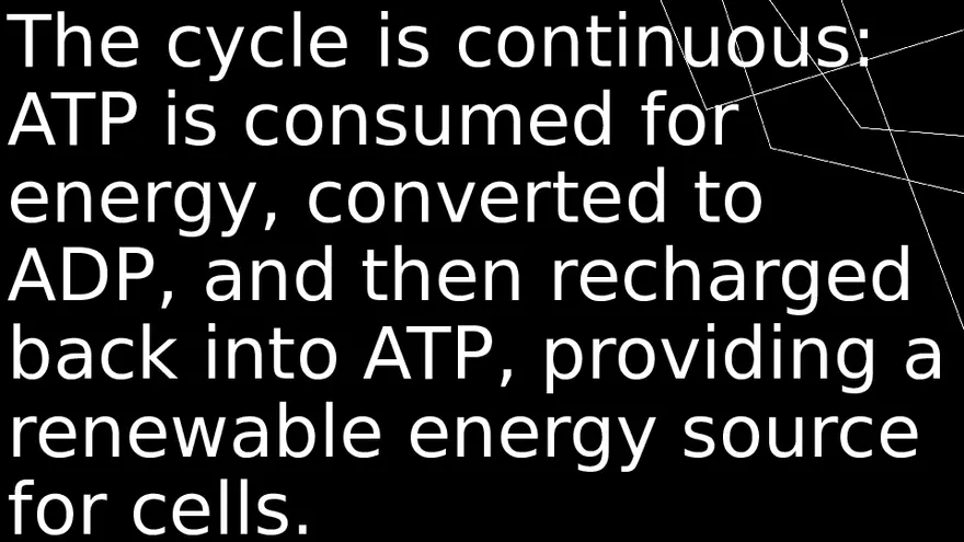 What is ATP-AD Cycle - Page 6
