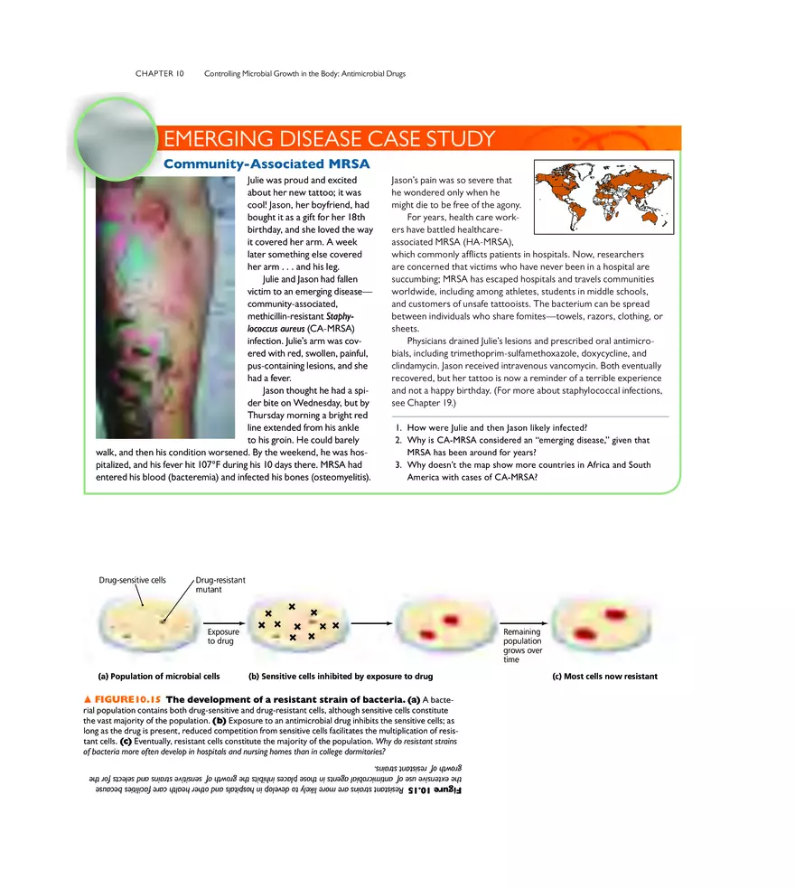 Controlling Microbial Growth in the Body Antimicrobial Drugs - Page 8