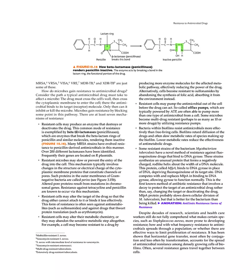 Controlling Microbial Growth in the Body Antimicrobial Drugs - Page 9