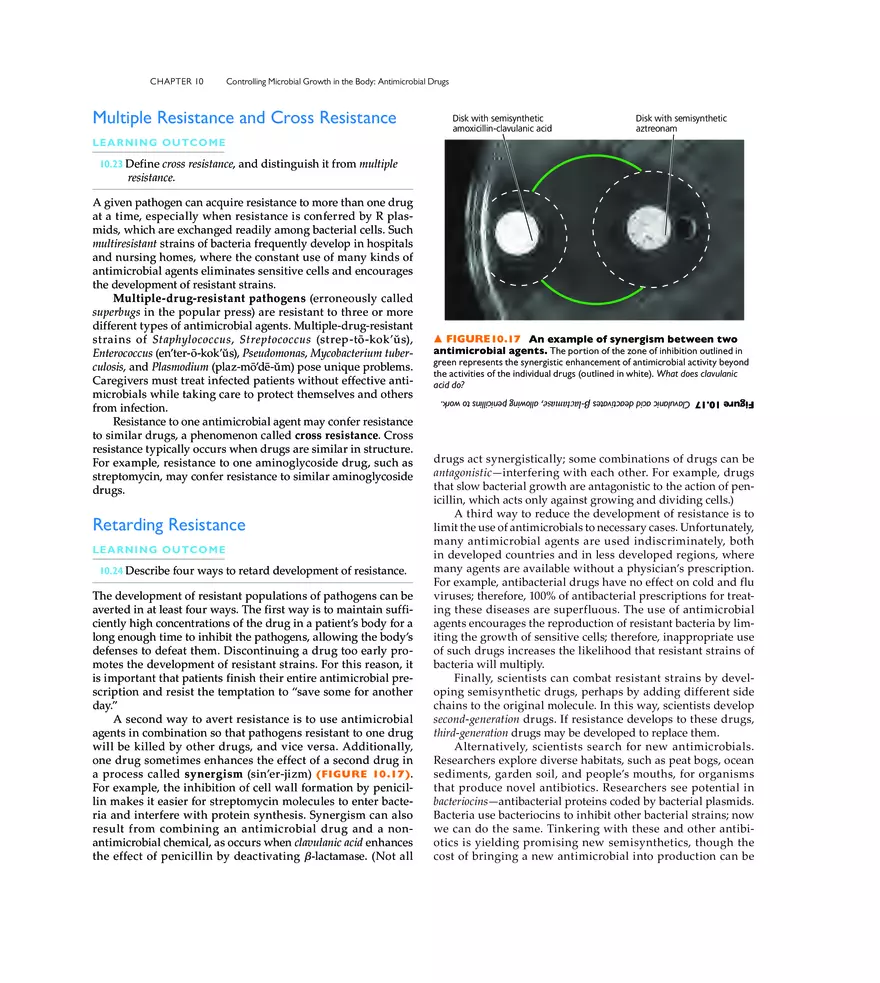 Controlling Microbial Growth in the Body Antimicrobial Drugs - Page 10