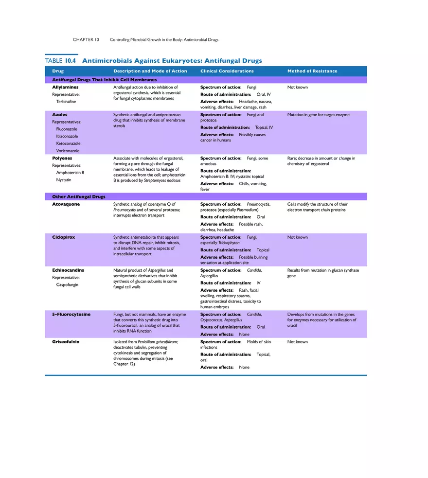 Controlling Microbial Growth in the Body Antimicrobial Drugs - Page 19
