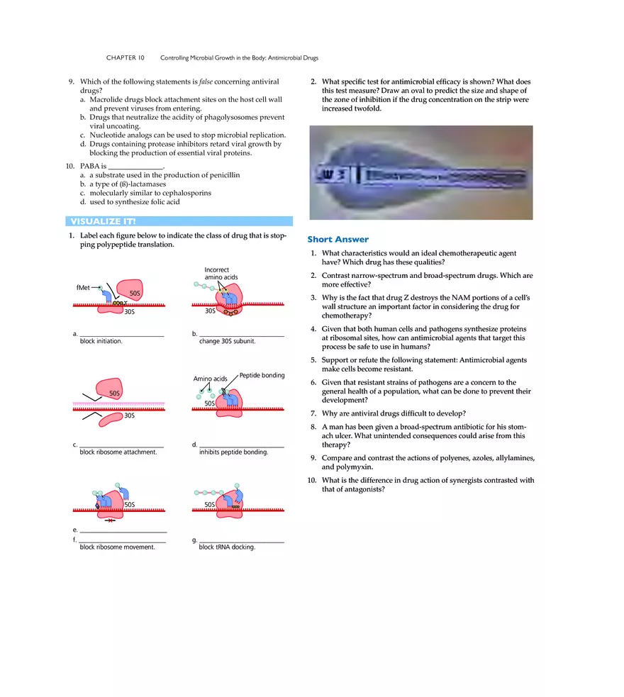 Controlling Microbial Growth in the Body Antimicrobial Drugs - Page 26