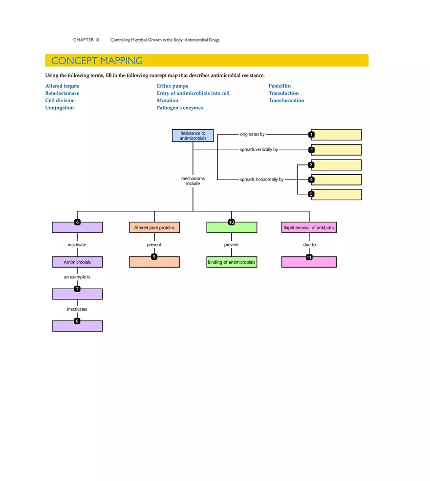 Controlling Microbial Growth in the Body Antimicrobial Drugs - Page 28
