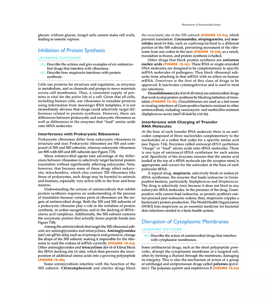 Controlling Microbial Growth in the Body Antimicrobial Drugs - Page 29