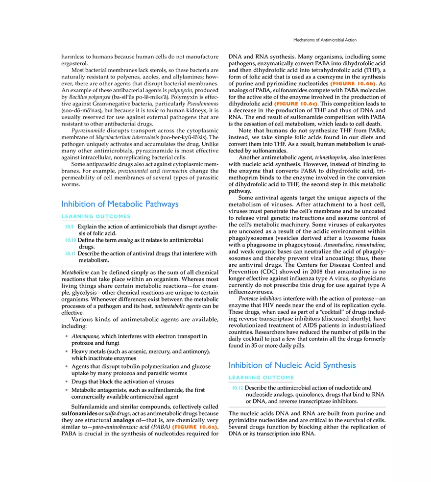Controlling Microbial Growth in the Body Antimicrobial Drugs - Page 31