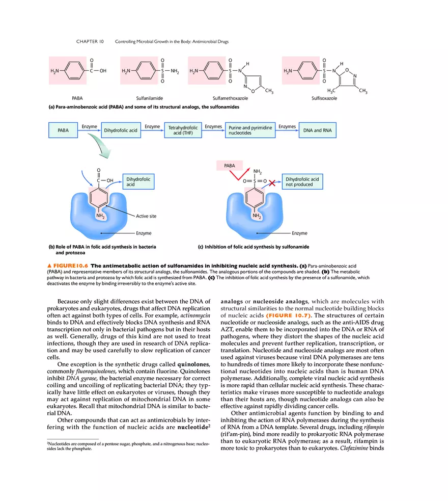 Controlling Microbial Growth in the Body Antimicrobial Drugs - Page 32