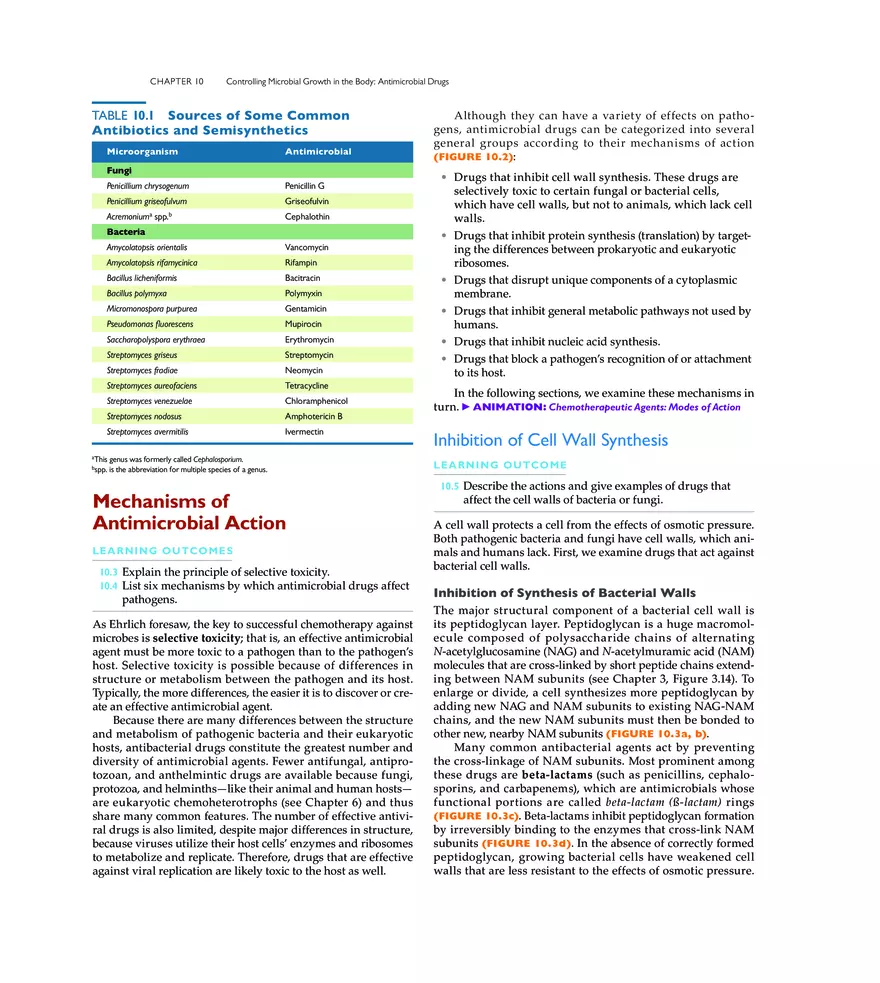 Controlling Microbial Growth in the Body Antimicrobial Drugs - Page 2
