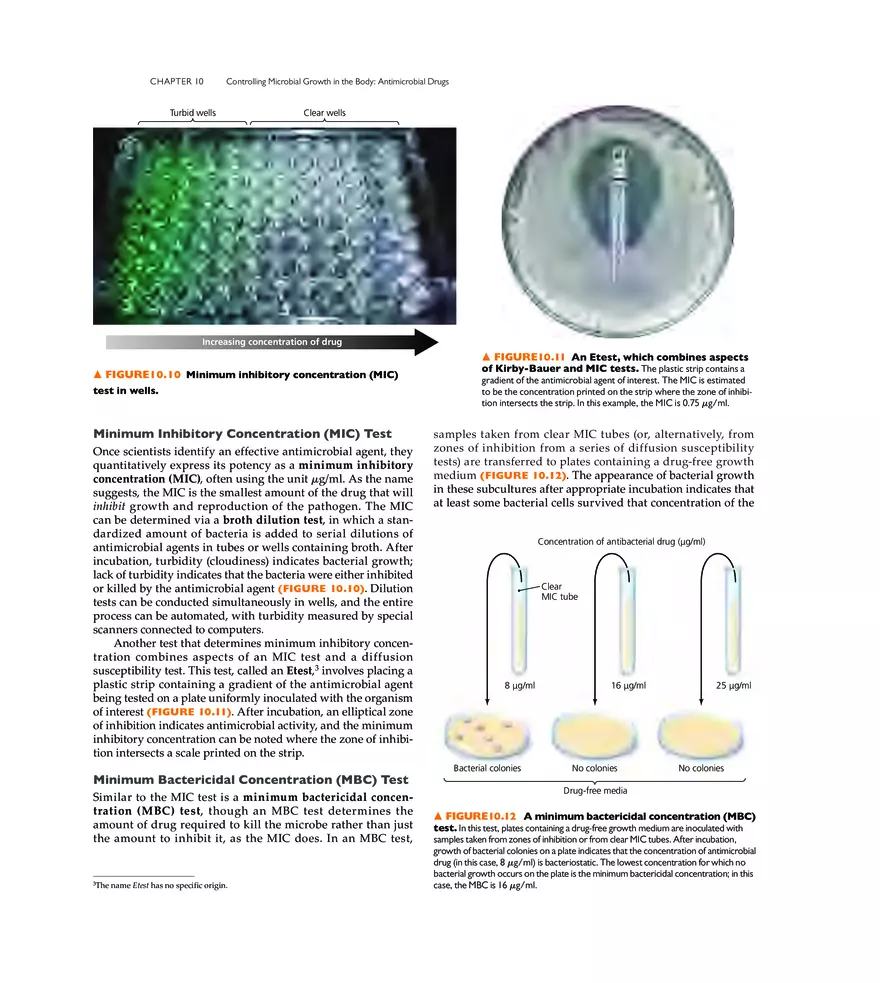 Controlling Microbial Growth in the Body Antimicrobial Drugs - Page 4