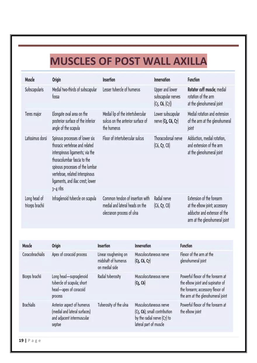 Anatomy Upper Limb - Page 11