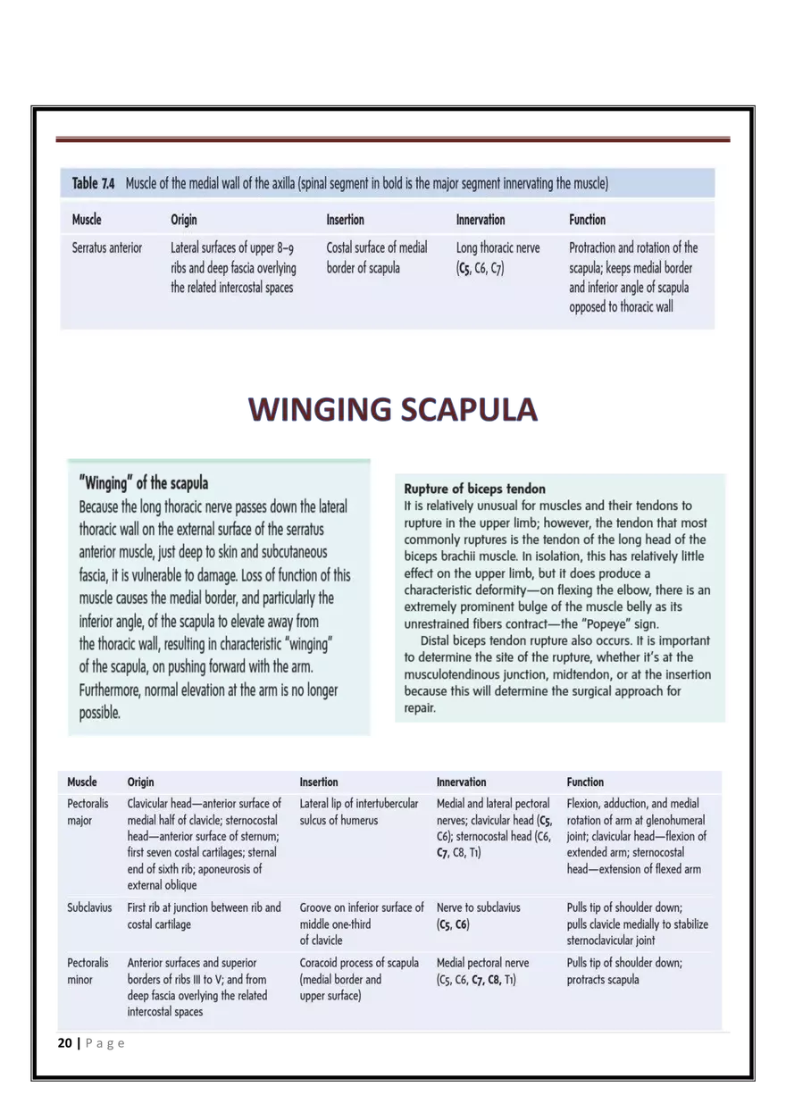 Anatomy Upper Limb - Page 12