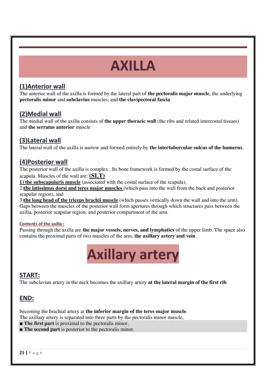Anatomy Upper Limb - Page 14