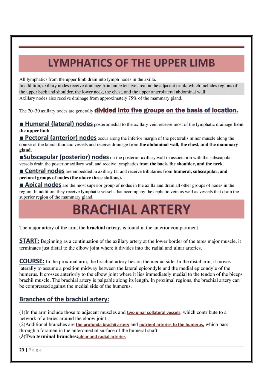 Anatomy Upper Limb - Page 16