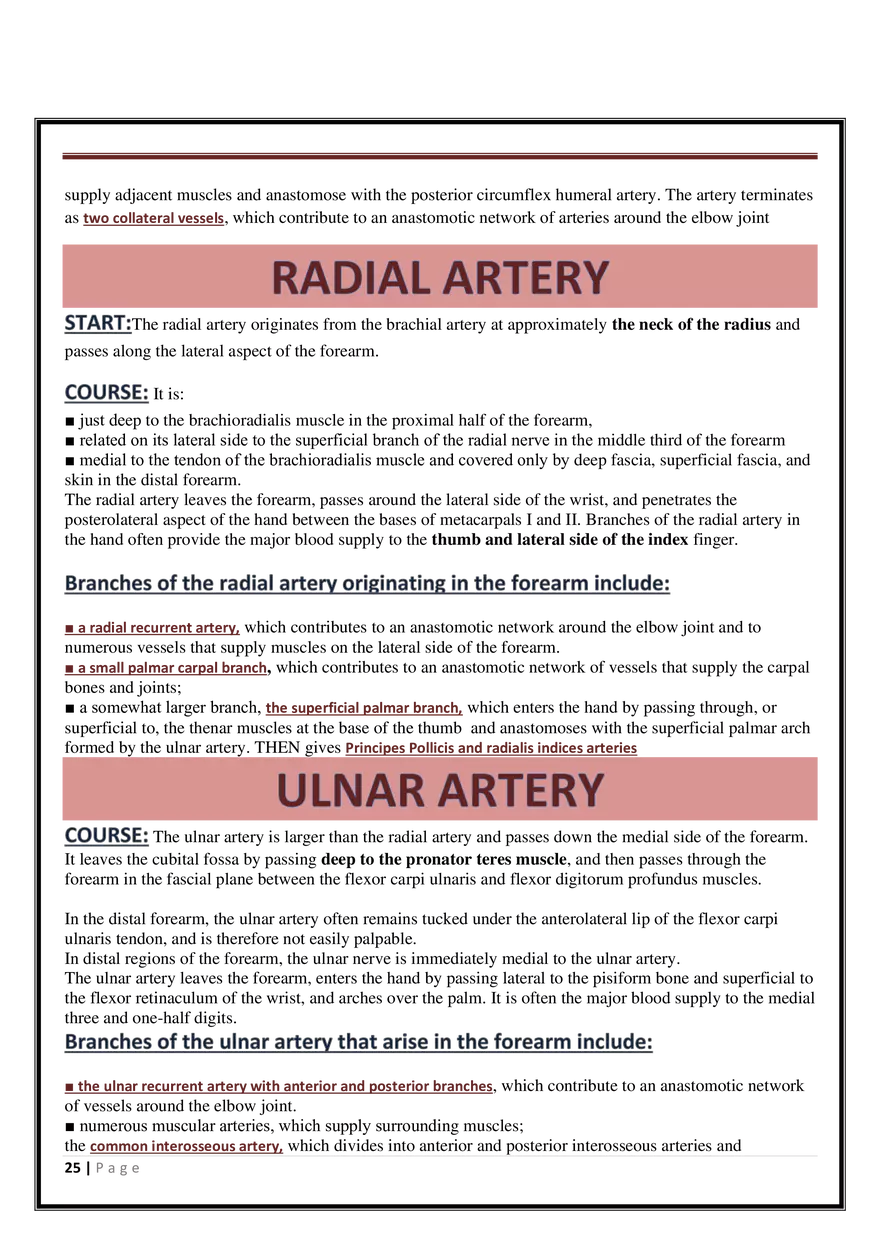 Anatomy Upper Limb - Page 18