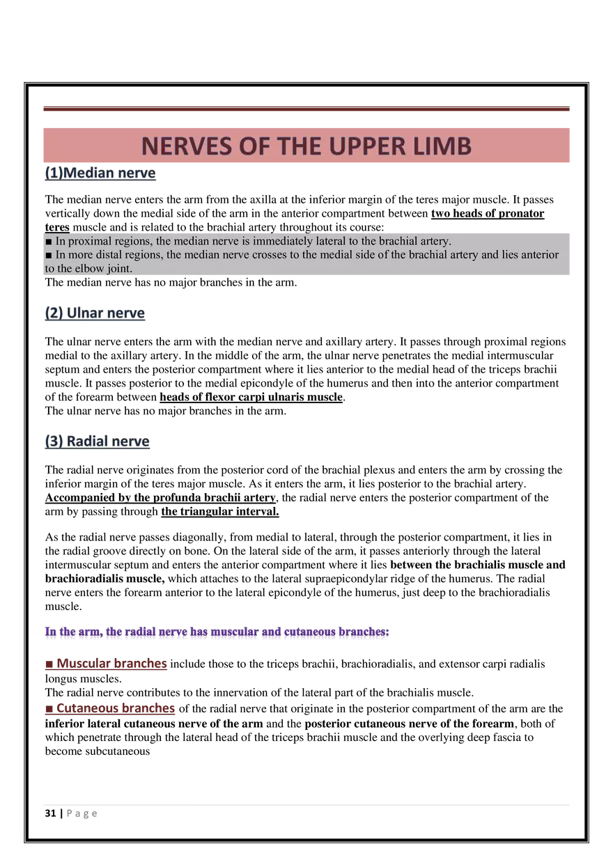Anatomy Upper Limb - Page 25