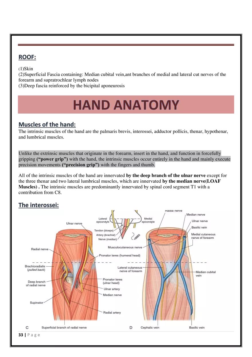 Anatomy Upper Limb - Page 27