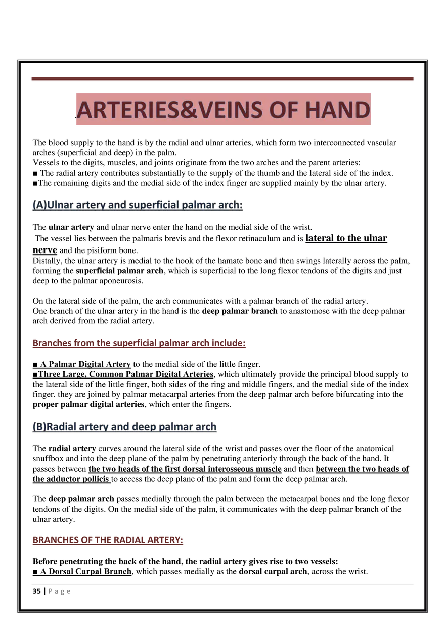 Anatomy Upper Limb - Page 29