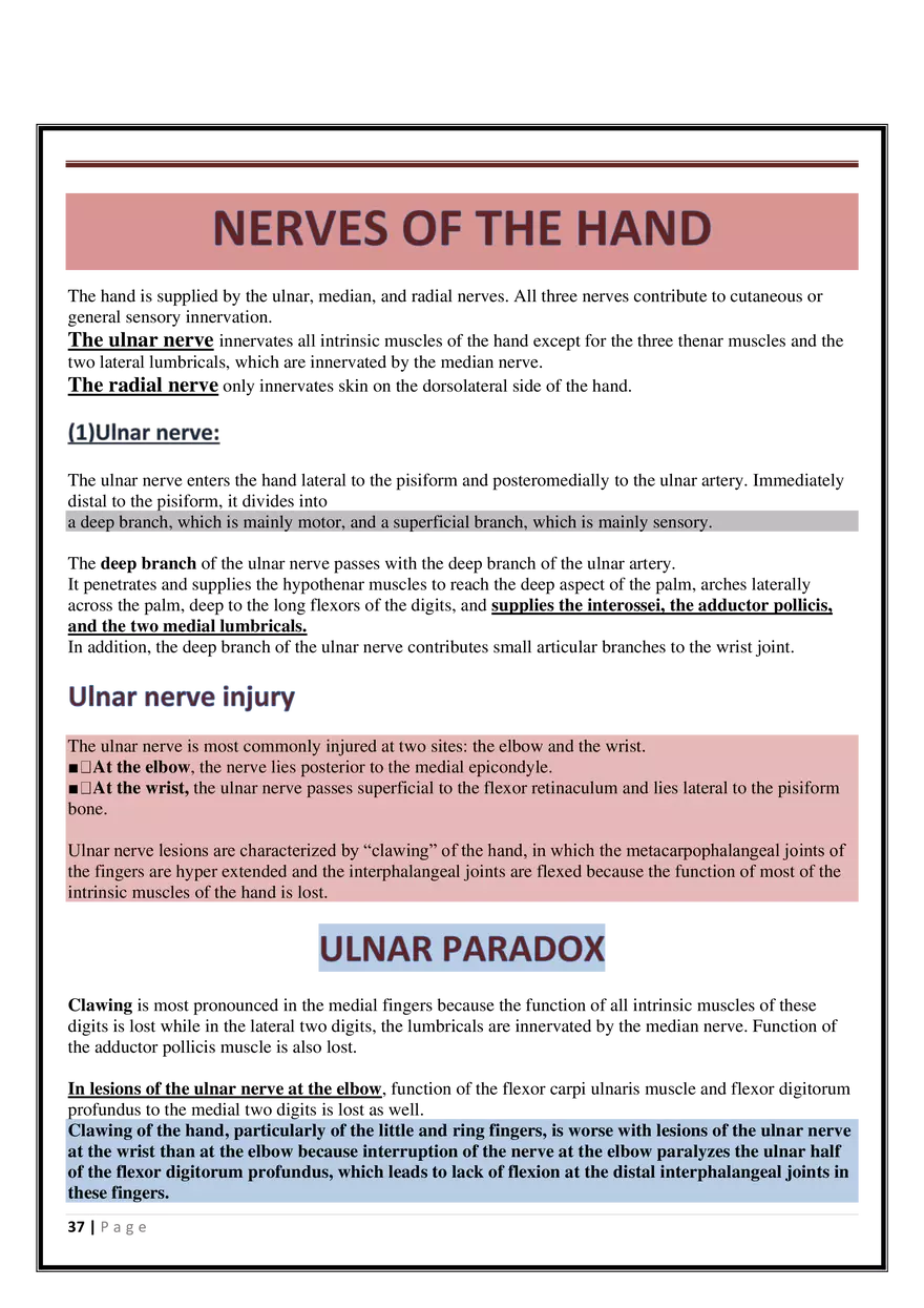 Anatomy Upper Limb - Page 31