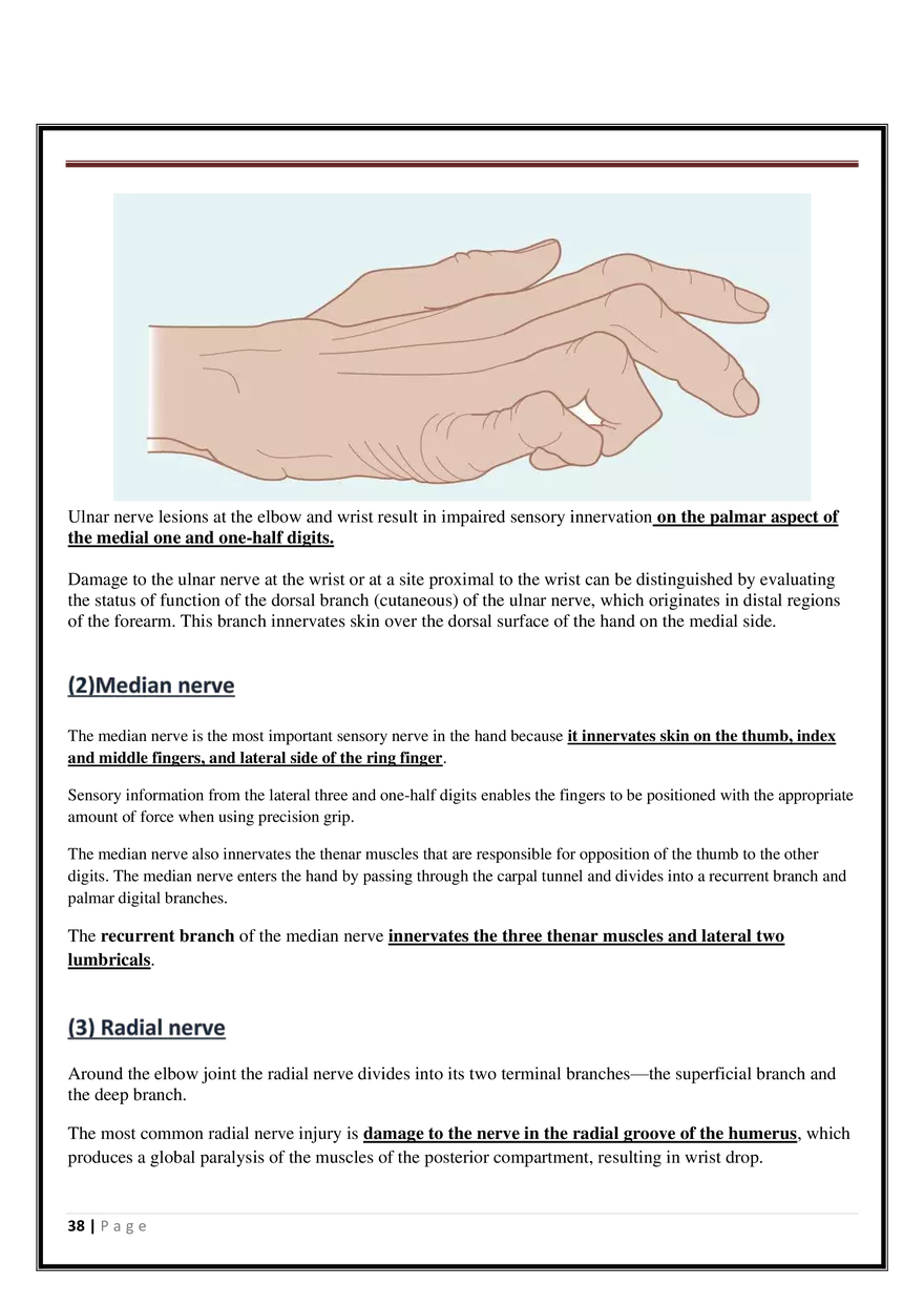 Anatomy Upper Limb - Page 32