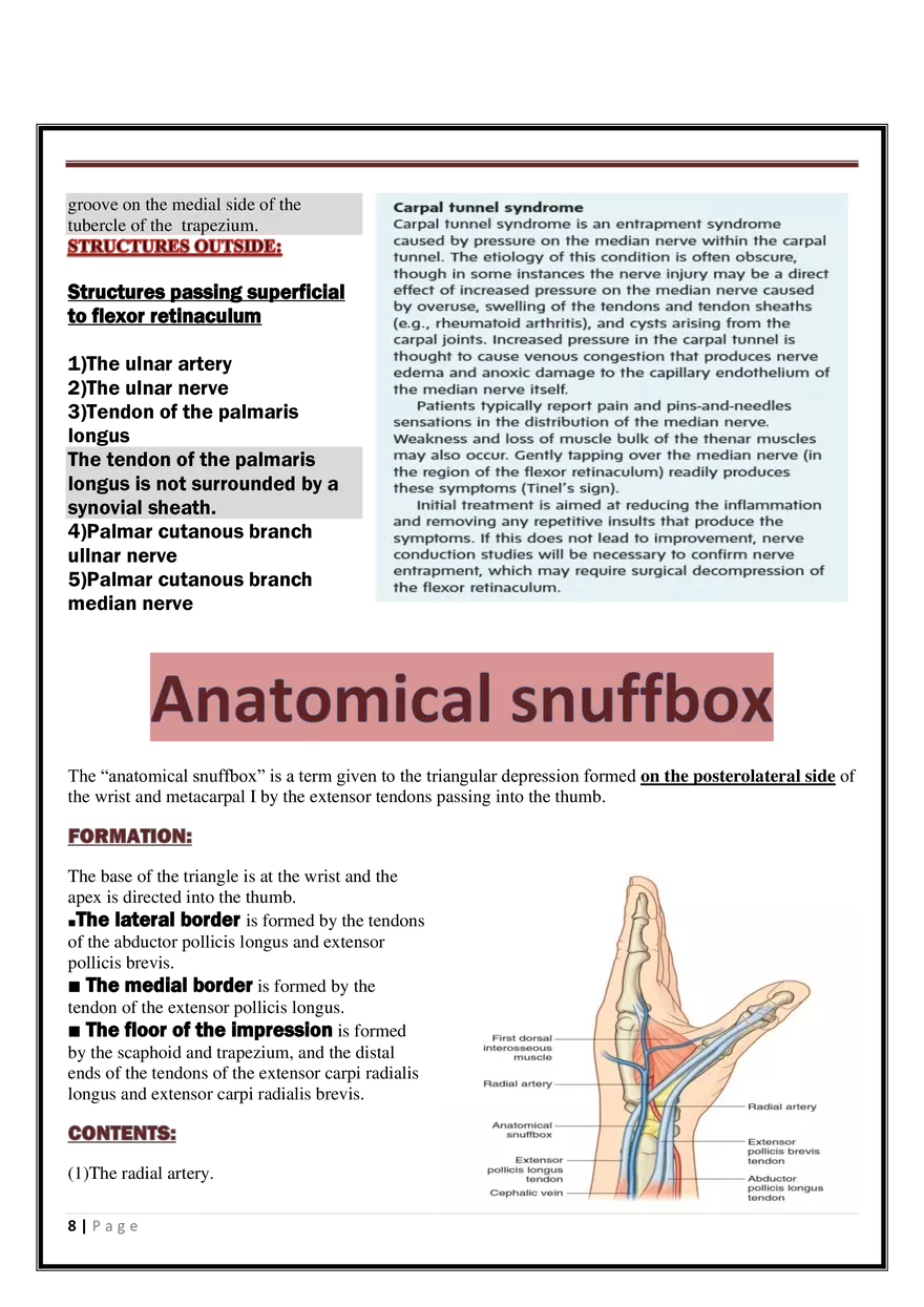 Anatomy Upper Limb - Page 38