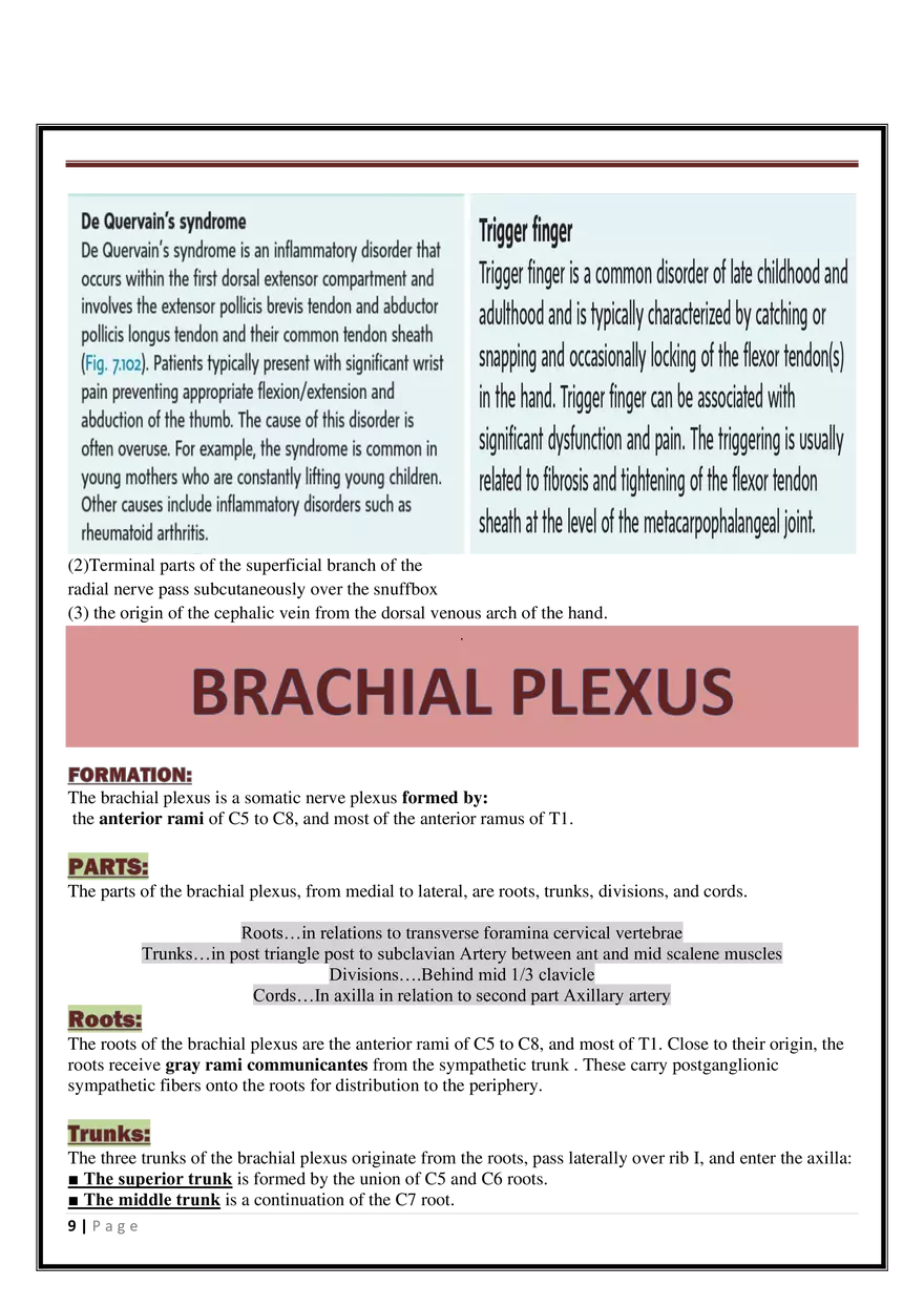 Anatomy Upper Limb - Page 39