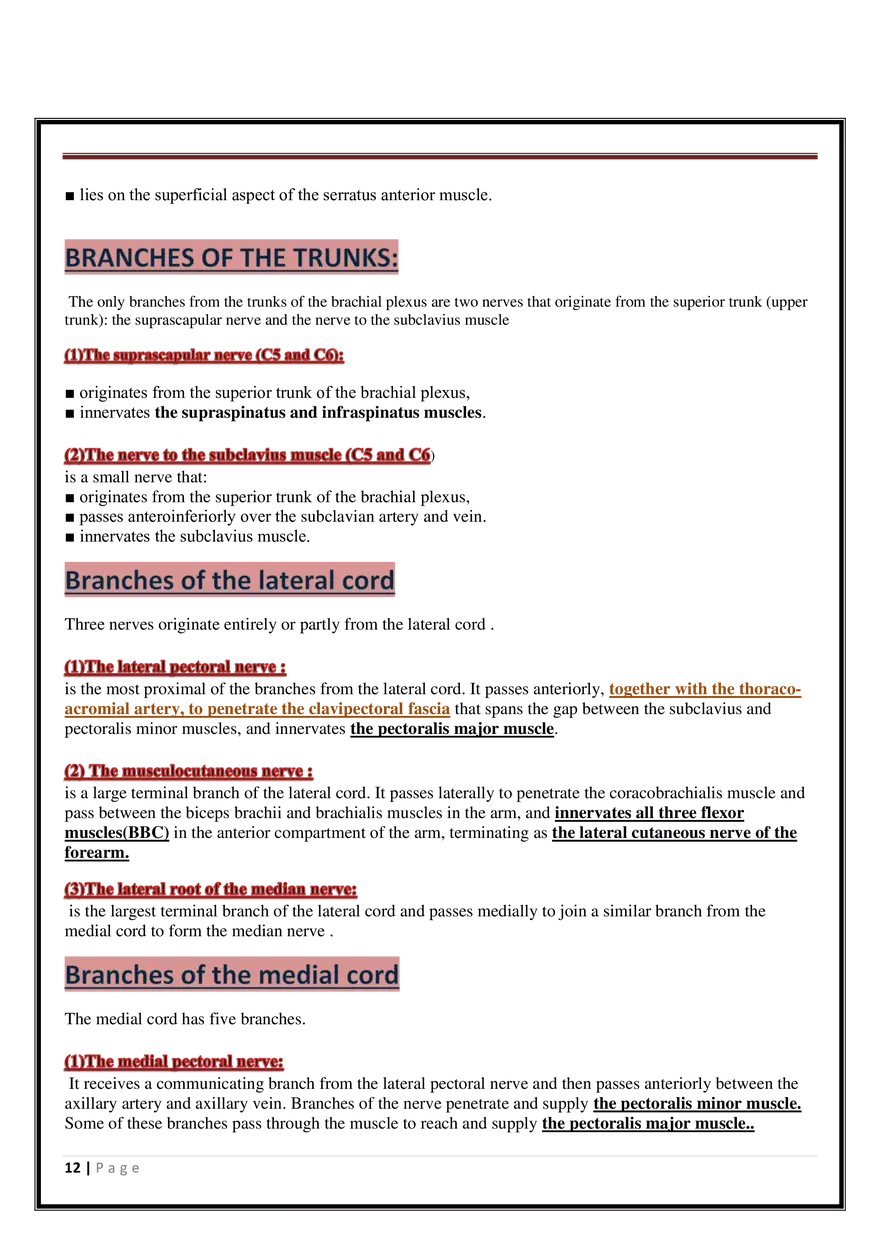Anatomy Upper Limb - Page 4