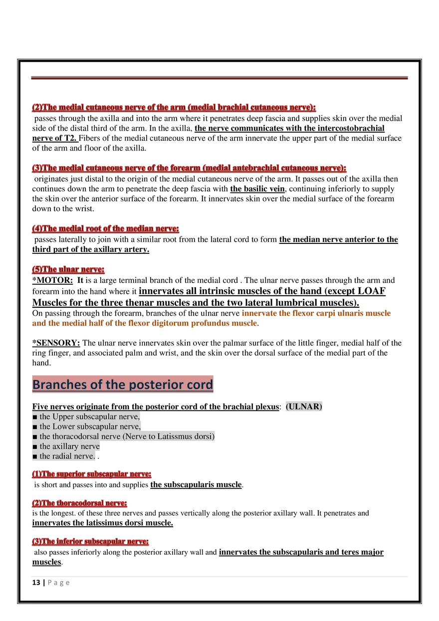 Anatomy Upper Limb - Page 5