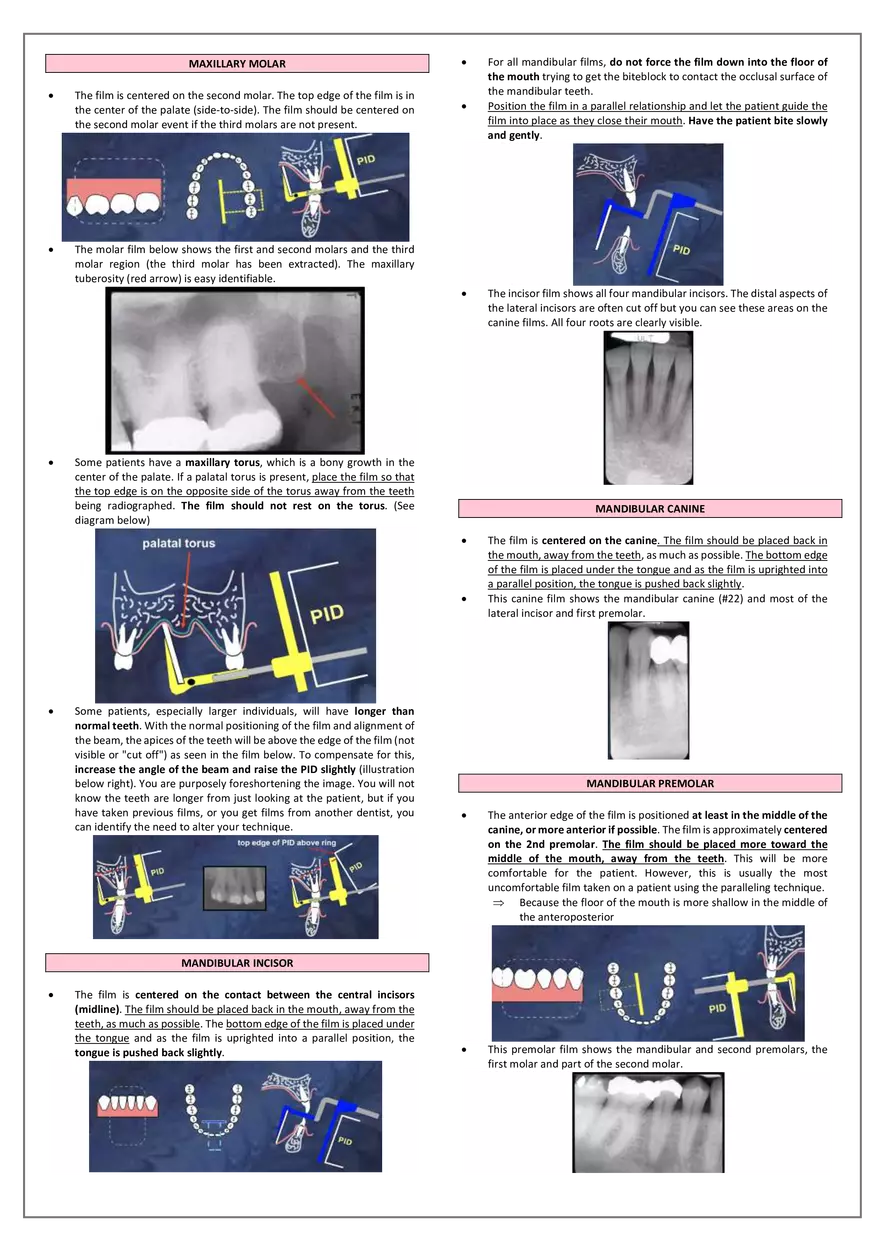 Roentgenology Lecture - Page 4