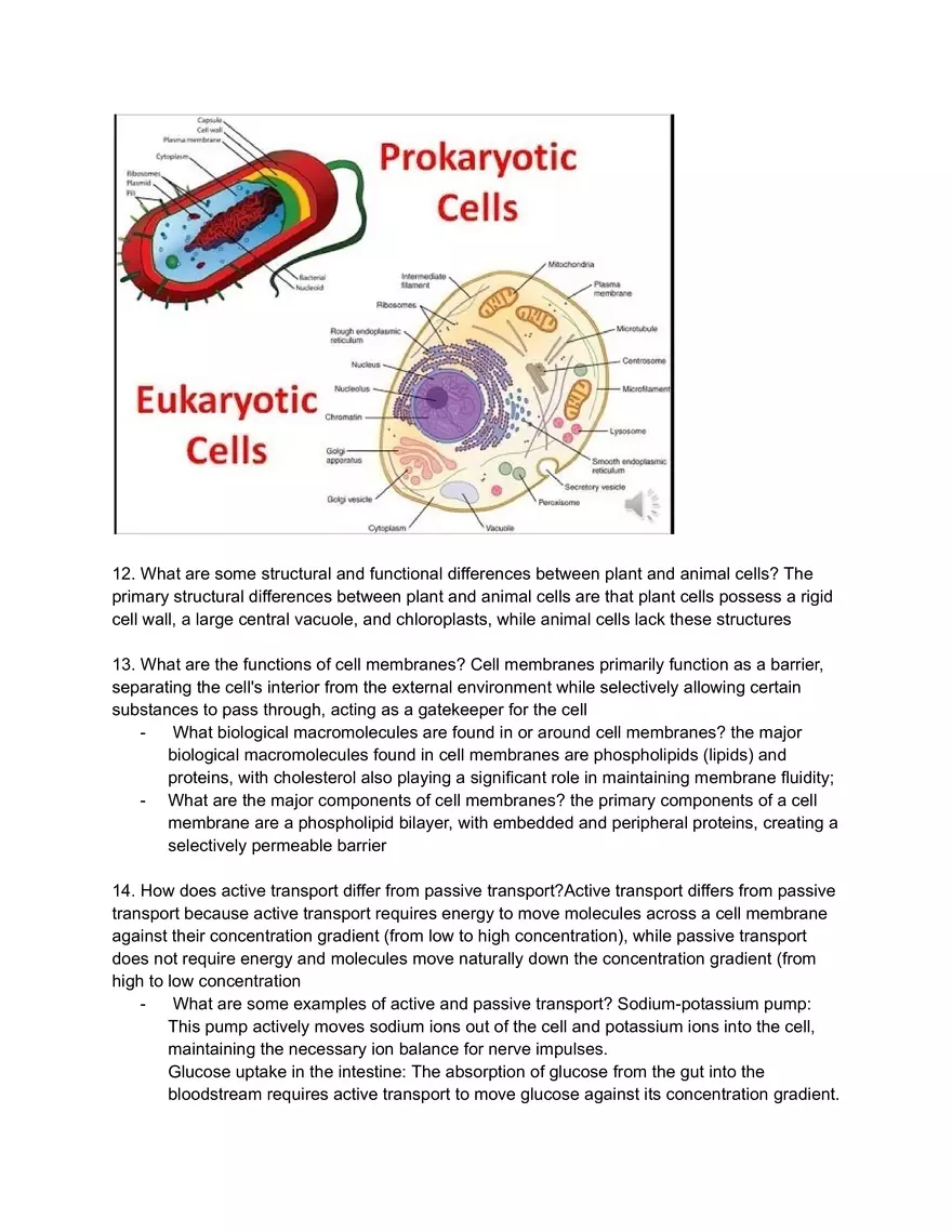 Bio Final Exam Study Guide - Page 3