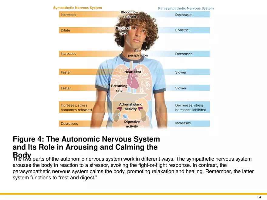 Chapter 9 Motivation and Emotion - Page 28