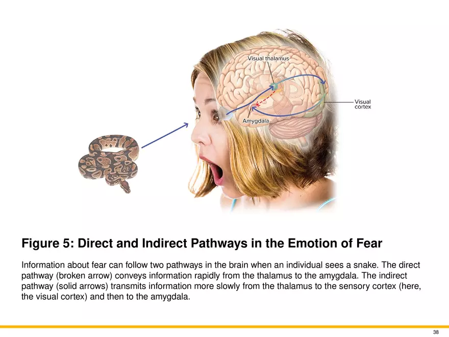 Chapter 9 Motivation and Emotion - Page 32