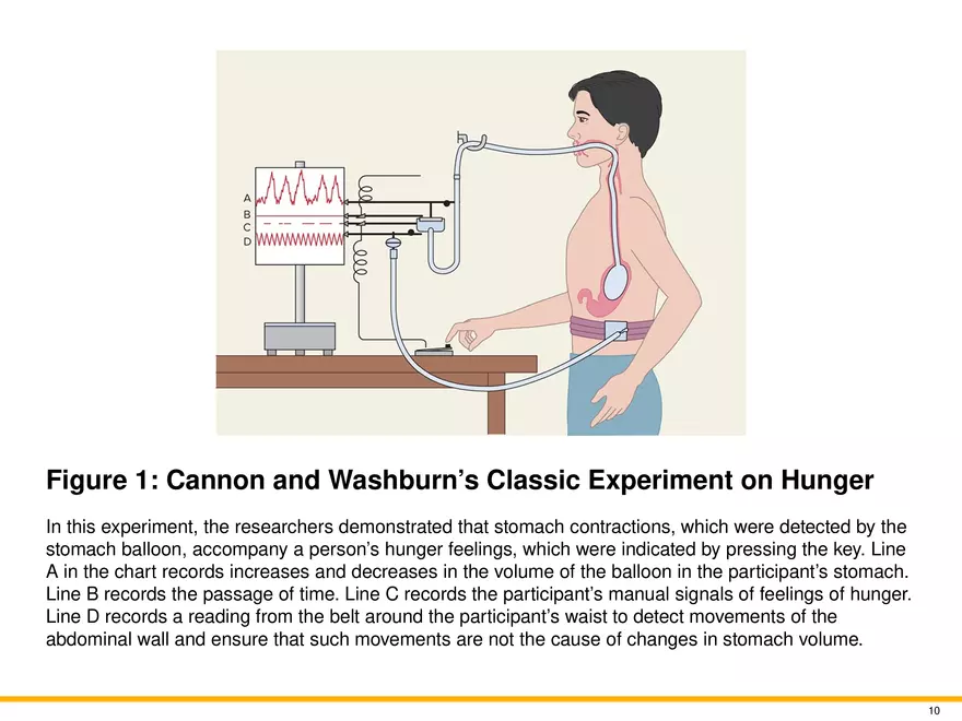 Chapter 9 Motivation and Emotion - Page 54