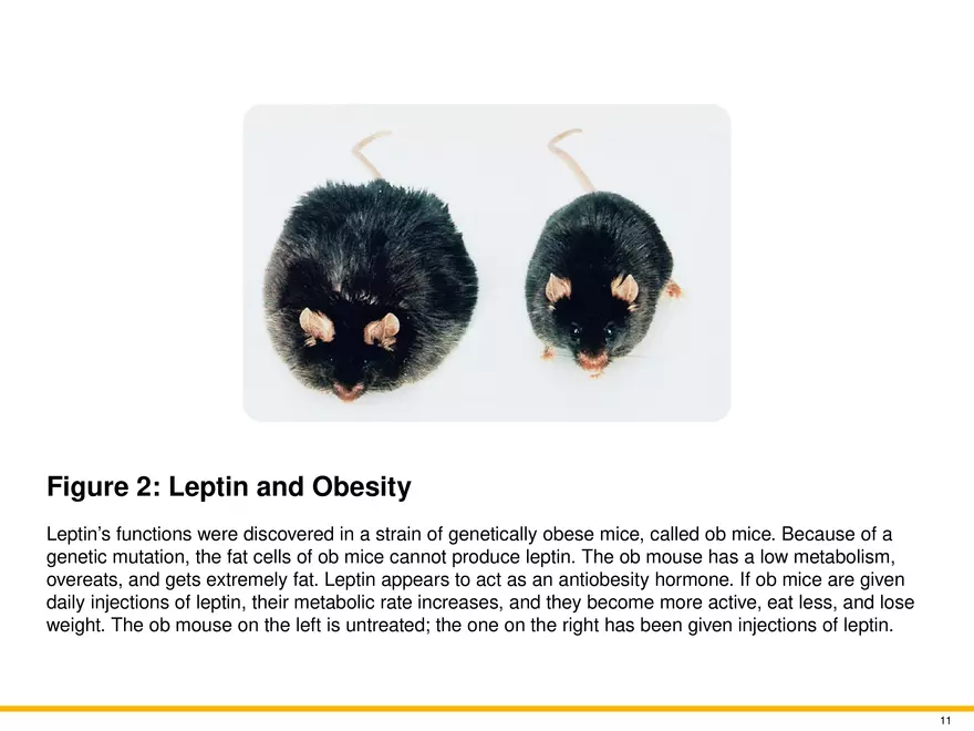 Chapter 9 Motivation and Emotion - Page 3