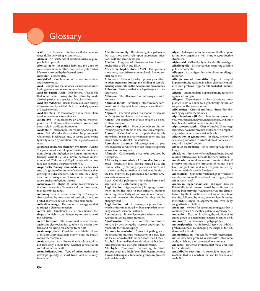 Microbiology Glossary - Page 1