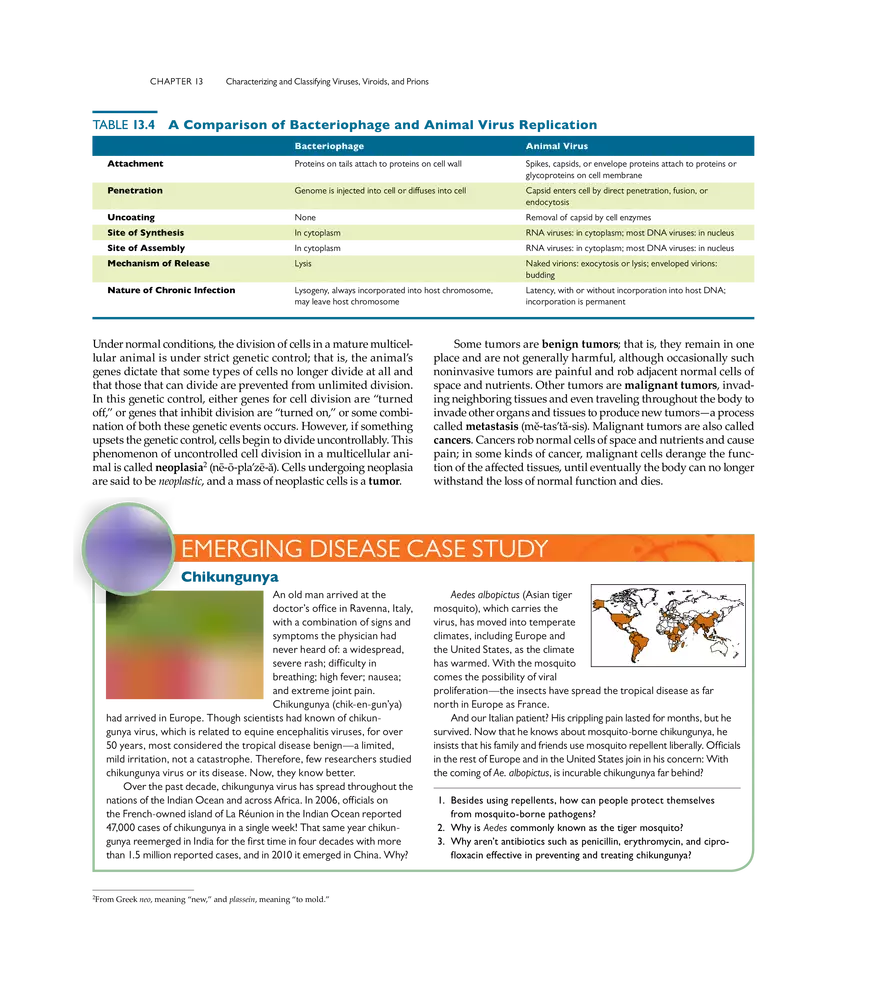 Characterizing and Classifying Viruses, Viroids, and Prions - Page 9