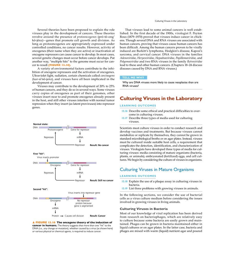 Characterizing and Classifying Viruses, Viroids, and Prions - Page 10