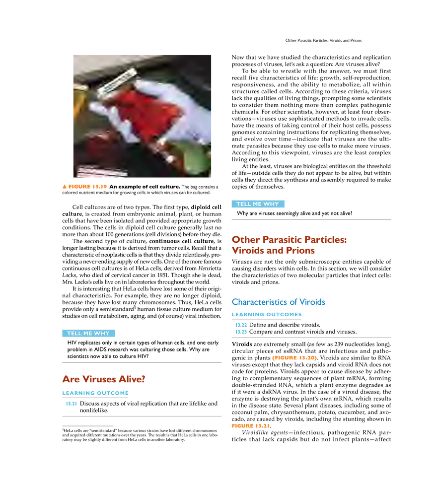 Characterizing and Classifying Viruses, Viroids, and Prions - Page 12