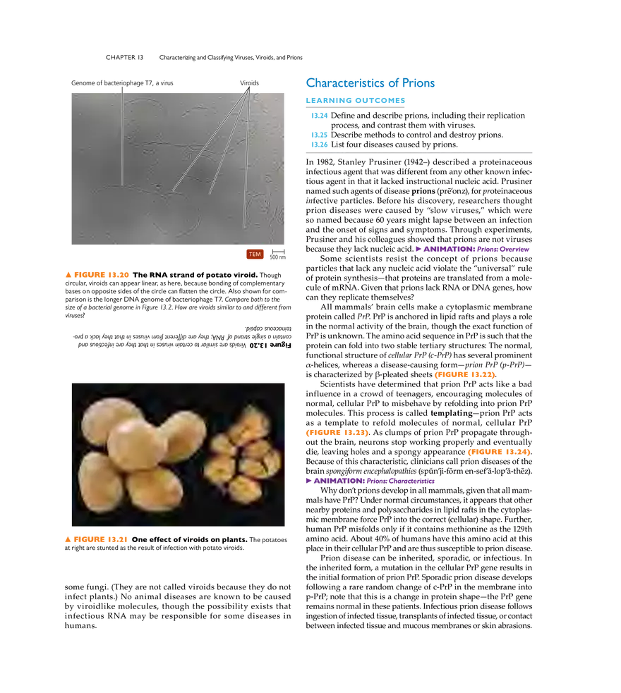 Characterizing and Classifying Viruses, Viroids, and Prions - Page 14