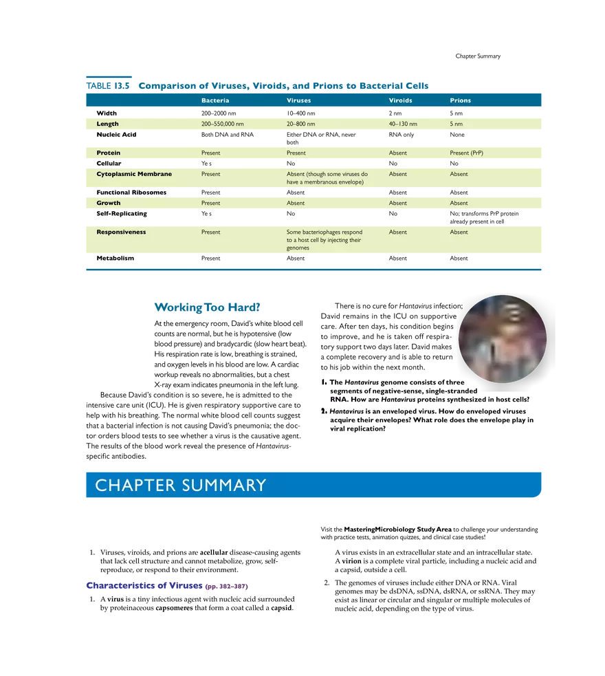Characterizing and Classifying Viruses, Viroids, and Prions - Page 17