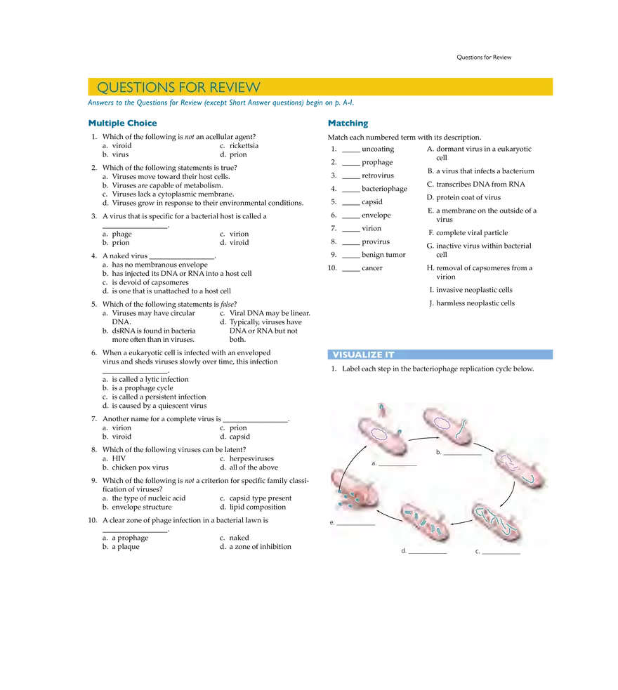 Characterizing and Classifying Viruses, Viroids, and Prions - Page 19