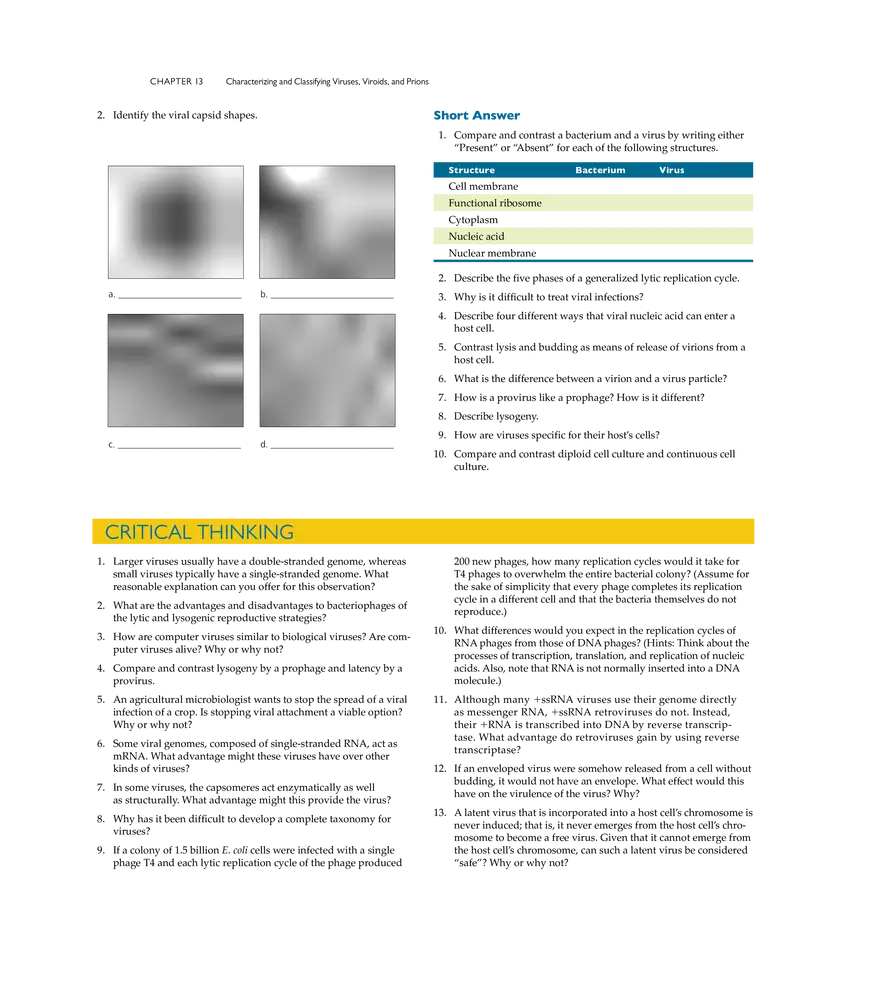 Characterizing and Classifying Viruses, Viroids, and Prions - Page 20