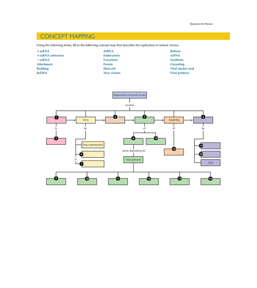 Characterizing and Classifying Viruses, Viroids, and Prions - Page 21