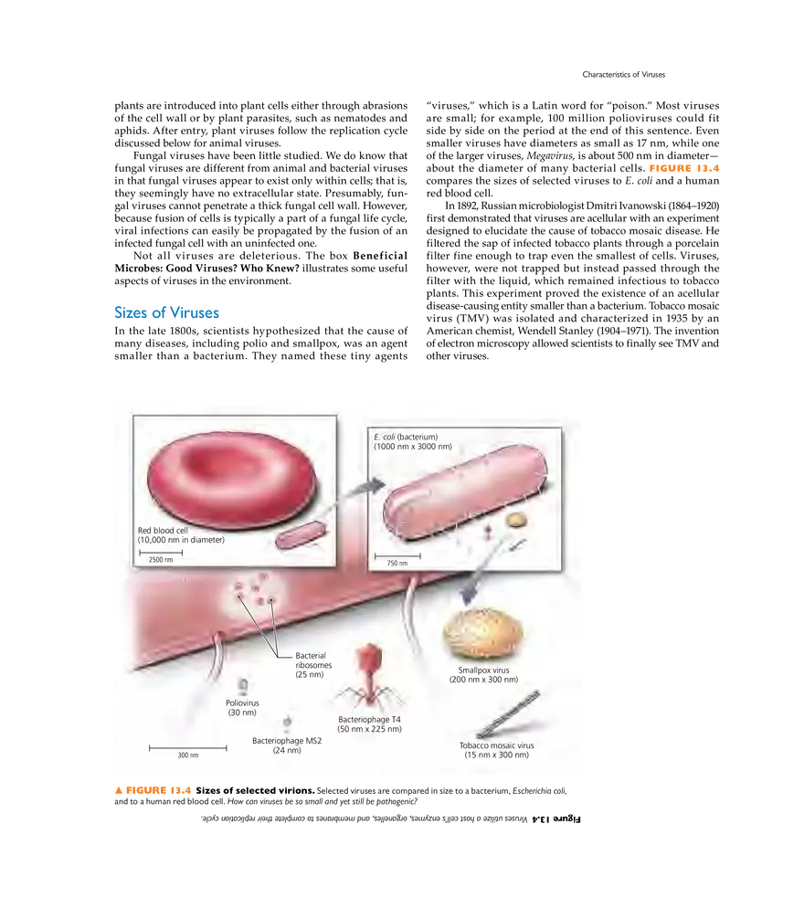 Characterizing and Classifying Viruses, Viroids, and Prions - Page 22