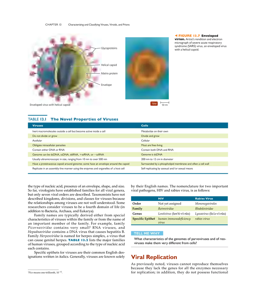 Characterizing and Classifying Viruses, Viroids, and Prions - Page 25