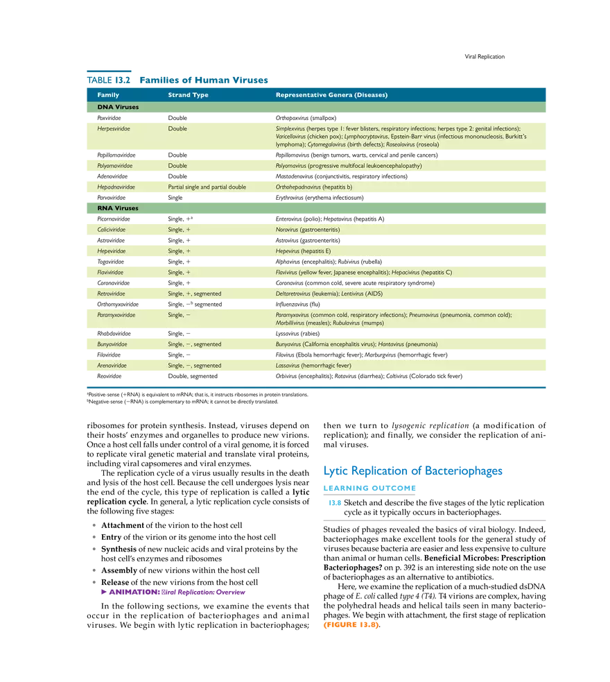 Characterizing and Classifying Viruses, Viroids, and Prions - Page 26