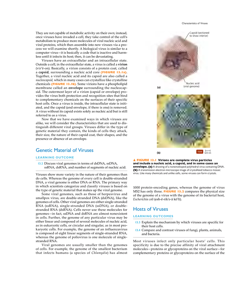 Characterizing and Classifying Viruses, Viroids, and Prions - Page 2