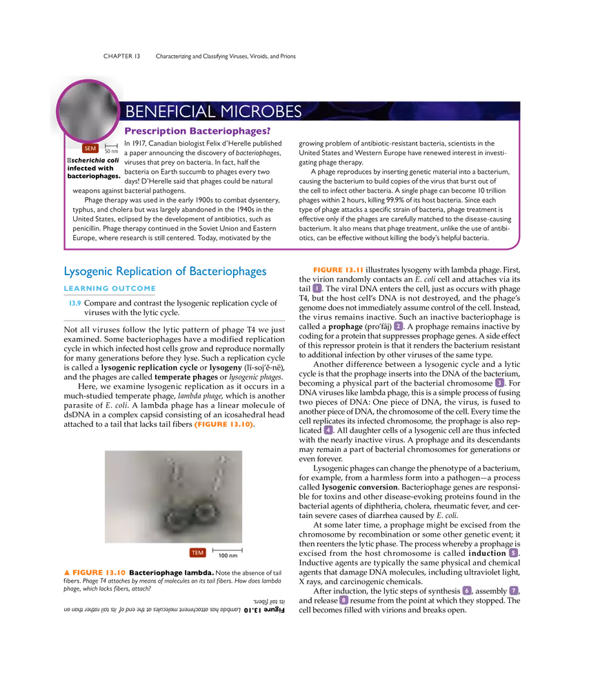 Characterizing and Classifying Viruses, Viroids, and Prions - Page 3