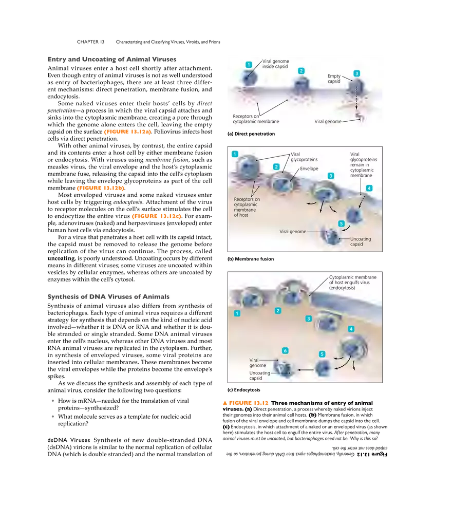 Characterizing and Classifying Viruses, Viroids, and Prions - Page 5
